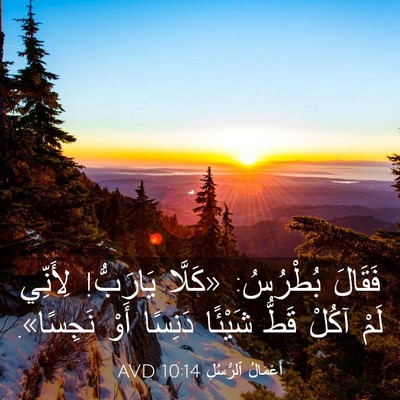 Picture 03 - أَعْمَالُ ٱلرُّسُلِ 10:14 AVD - فَقَالَ بُطْرُسُ: «كَلَّا - Bible Verse Picture