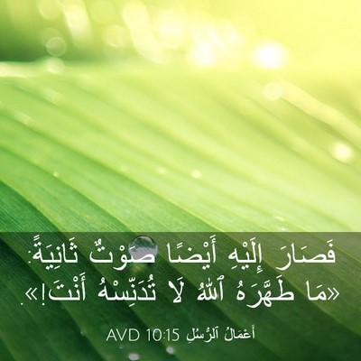 Picture 03 - أَعْمَالُ ٱلرُّسُلِ 10:15 AVD - فَصَارَ إِلَيْهِ أَيْضًا - Bible Verse Picture