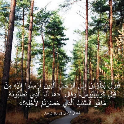 Picture 03 - أَعْمَالُ ٱلرُّسُلِ 10:21 AVD - فَنَزَلَ بُطْرُسُ إِلَى - Bible Verse Picture