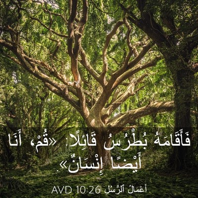 Picture 03 - أَعْمَالُ ٱلرُّسُلِ 10:26 AVD - فَأَقَامَهُ بُطْرُسُ - Bible Verse Picture