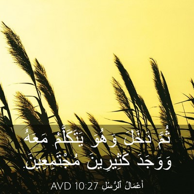 Picture 03 - أَعْمَالُ ٱلرُّسُلِ 10:27 AVD - ثُمَّ دَخَلَ وَهُوَ - Bible Verse Picture