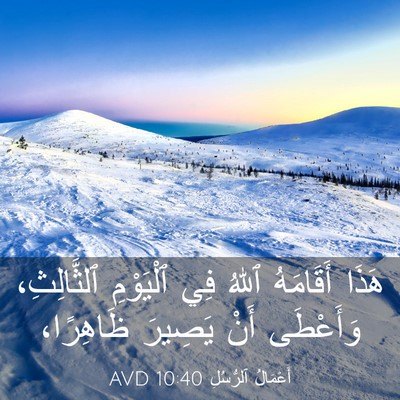 Picture 03 - أَعْمَالُ ٱلرُّسُلِ 10:40 AVD - هَذَا أَقَامَهُ ٱللهُ فِي - Bible Verse Picture