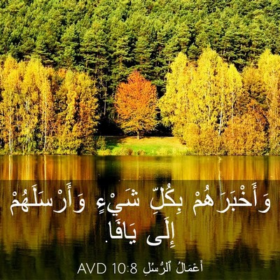 Picture 03 - أَعْمَالُ ٱلرُّسُلِ 10:8 AVD - وَأَخْبَرَهُمْ بِكُلِّ - Bible Verse Picture