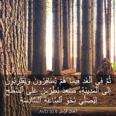 Picture 03 - أَعْمَالُ ٱلرُّسُلِ 10:9 AVD - ثُمَّ فِي ٱلْغَدِ فِيمَا - Bible Verse Picture