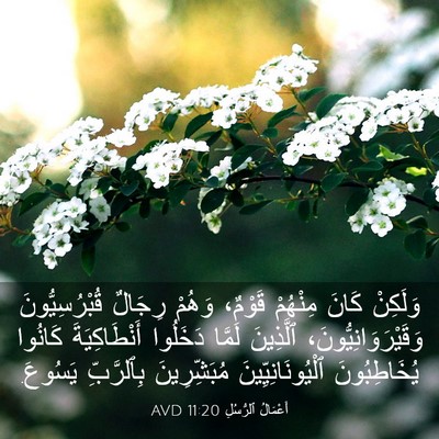 Picture 03 - أَعْمَالُ ٱلرُّسُلِ 11:20 AVD - وَلَكِنْ كَانَ مِنْهُمْ - Bible Verse Picture