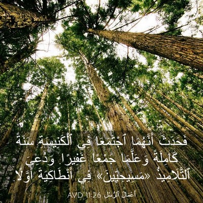 Picture 03 - أَعْمَالُ ٱلرُّسُلِ 11:26 AVD - فَحَدَثَ أَنَّهُمَا - Bible Verse Picture