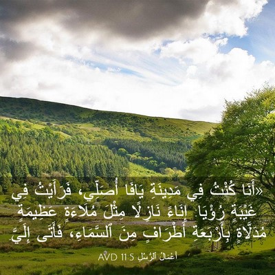 Picture 03 - أَعْمَالُ ٱلرُّسُلِ 11:5 AVD - «أَنَا كُنْتُ فِي - Bible Verse Picture