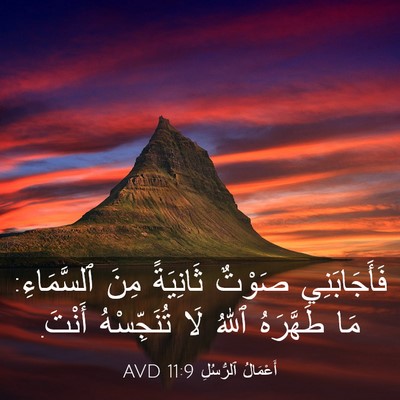 Picture 03 - أَعْمَالُ ٱلرُّسُلِ 11:9 AVD - فَأَجَابَنِي صَوْتٌ - Bible Verse Picture