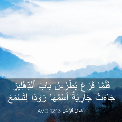 Picture 03 - أَعْمَالُ ٱلرُّسُلِ 12:13 AVD - فَلَمَّا قَرَعَ بُطْرُسُ - Bible Verse Picture