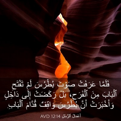 Picture 03 - أَعْمَالُ ٱلرُّسُلِ 12:14 AVD - فَلَمَّا عَرَفَتْ صَوْتَ - Bible Verse Picture