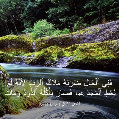 Picture 03 - أَعْمَالُ ٱلرُّسُلِ 12:23 AVD - فَفِي ٱلْحَالِ ضَرَبَهُ - Bible Verse Picture