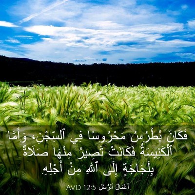 Picture 03 - أَعْمَالُ ٱلرُّسُلِ 12:5 AVD - فَكَانَ بُطْرُسُ - Bible Verse Picture