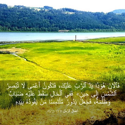 Picture 03 - أَعْمَالُ ٱلرُّسُلِ 13:11 AVD - فَٱلْآنَ هُوَذَا يَدُ - Bible Verse Picture