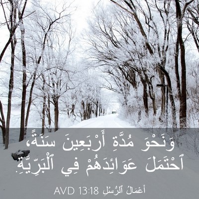 Picture 03 - أَعْمَالُ ٱلرُّسُلِ 13:18 AVD - وَنَحْوَ مُدَّةِ - Bible Verse Picture