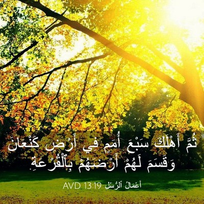 Picture 03 - أَعْمَالُ ٱلرُّسُلِ 13:19 AVD - ثُمَّ أَهْلَكَ سَبْعَ - Bible Verse Picture