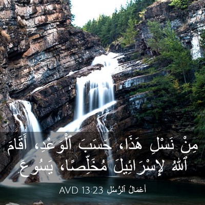 Picture 03 - أَعْمَالُ ٱلرُّسُلِ 13:23 AVD - مِنْ نَسْلِ هَذَا، حَسَبَ - Bible Verse Picture