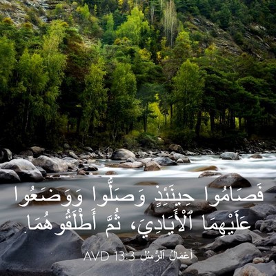 Picture 03 - أَعْمَالُ ٱلرُّسُلِ 13:3 AVD - فَصَامُوا حِينَئِذٍ - Bible Verse Picture