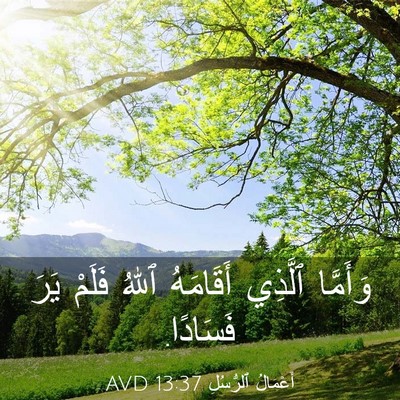 Picture 03 - أَعْمَالُ ٱلرُّسُلِ 13:37 AVD - وَأَمَّا ٱلَّذِي - Bible Verse Picture