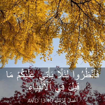 Picture 03 - أَعْمَالُ ٱلرُّسُلِ 13:40 AVD - فَٱنْظُرُوا لِئَلَّا - Bible Verse Picture