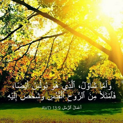 Picture 03 - أَعْمَالُ ٱلرُّسُلِ 13:9 AVD - وَأَمَّا شَاوُلُ، ٱلَّذِي - Bible Verse Picture