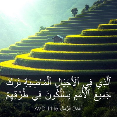 Picture 03 - أَعْمَالُ ٱلرُّسُلِ 14:16 AVD - ٱلَّذِي فِي ٱلْأَجْيَالِ - Bible Verse Picture