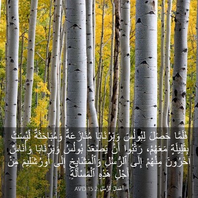 Picture 03 - أَعْمَالُ ٱلرُّسُلِ 15:2 AVD - فَلَمَّا حَصَلَ لِبُولُسَ - Bible Verse Picture