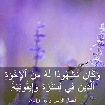 Picture 03 - أَعْمَالُ ٱلرُّسُلِ 16:2 AVD - وَكَانَ مَشْهُودًا لَهُ - Bible Verse Picture