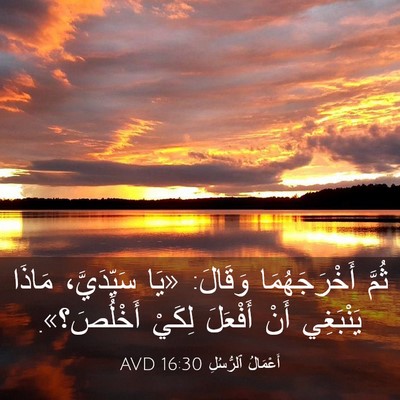 Picture 03 - أَعْمَالُ ٱلرُّسُلِ 16:30 AVD - ثُمَّ أَخْرَجَهُمَا - Bible Verse Picture
