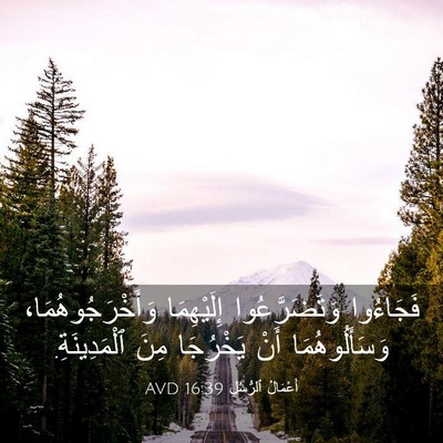 Picture 03 - أَعْمَالُ ٱلرُّسُلِ 16:39 AVD - فَجَاءُوا وَتَضَرَّعُوا - Bible Verse Picture