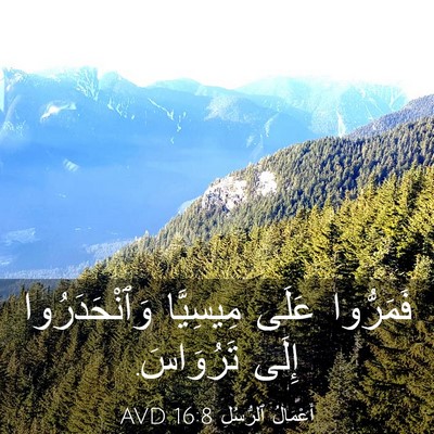 Picture 03 - أَعْمَالُ ٱلرُّسُلِ 16:8 AVD - فَمَرُّوا عَلَى مِيسِيَّا - Bible Verse Picture