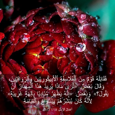 Picture 03 - أَعْمَالُ ٱلرُّسُلِ 17:18 AVD - فَقَابَلَهُ قَوْمٌ مِنَ - Bible Verse Picture