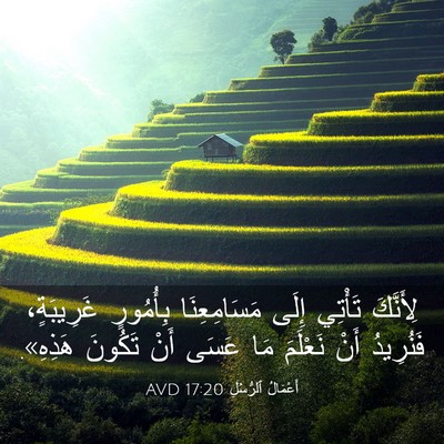 Picture 03 - أَعْمَالُ ٱلرُّسُلِ 17:20 AVD - لِأَنَّكَ تَأْتِي إِلَى - Bible Verse Picture