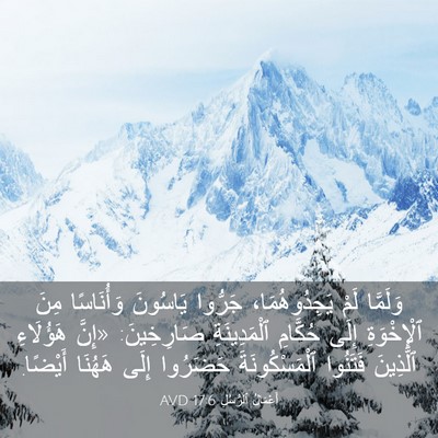 Picture 03 - أَعْمَالُ ٱلرُّسُلِ 17:6 AVD - وَلَمَّا لَمْ - Bible Verse Picture