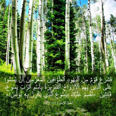 Picture 03 - أَعْمَالُ ٱلرُّسُلِ 19:13 AVD - فَشَرَعَ قَوْمٌ مِنَ - Bible Verse Picture