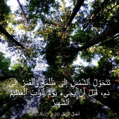 Picture 03 - أَعْمَالُ ٱلرُّسُلِ 2:20 AVD - تَتَحَوَّلُ ٱلشَّمْسُ - Bible Verse Picture