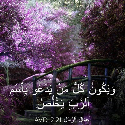 Picture 03 - أَعْمَالُ ٱلرُّسُلِ 2:21 AVD - وَيَكُونُ كُلُّ مَنْ - Bible Verse Picture