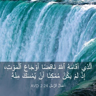 Picture 03 - أَعْمَالُ ٱلرُّسُلِ 2:24 AVD - اَلَّذِي أَقَامَهُ ٱللهُ - Bible Verse Picture