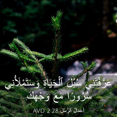 Picture 03 - أَعْمَالُ ٱلرُّسُلِ 2:28 AVD - عَرَّفْتَنِي سُبُلَ - Bible Verse Picture