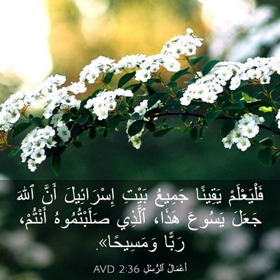 Picture 03 - أَعْمَالُ ٱلرُّسُلِ 2:36 AVD - فَلْيَعْلَمْ يَقِينًا - Bible Verse Picture