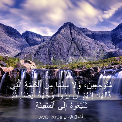 Picture 03 - أَعْمَالُ ٱلرُّسُلِ 20:38 AVD - مُتَوَجِّعِينَ، وَلَا - Bible Verse Picture