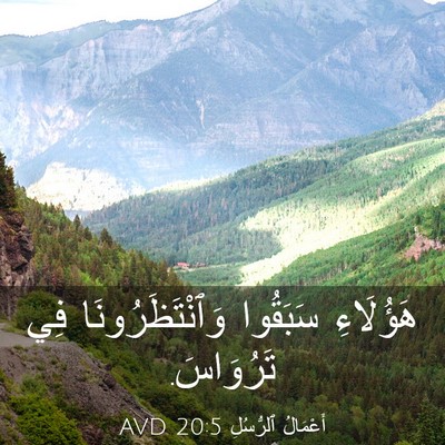 Picture 03 - أَعْمَالُ ٱلرُّسُلِ 20:5 AVD - هَؤُلَاءِ سَبَقُوا - Bible Verse Picture
