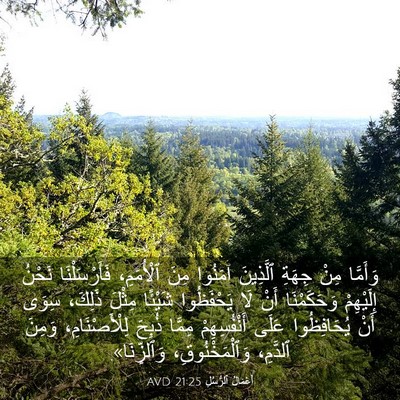 Picture 03 - أَعْمَالُ ٱلرُّسُلِ 21:25 AVD - وَأَمَّا مِنْ جِهَةِ - Bible Verse Picture