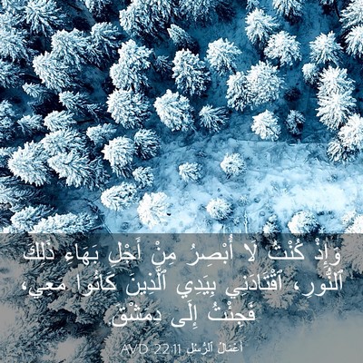 Picture 03 - أَعْمَالُ ٱلرُّسُلِ 22:11 AVD - وَإِذْ كُنْتُ لَا أُبْصِرُ - Bible Verse Picture