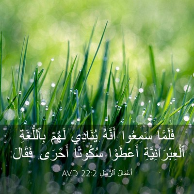Picture 03 - أَعْمَالُ ٱلرُّسُلِ 22:2 AVD - فَلَمَّا سَمِعُوا أَنَّهُ - Bible Verse Picture