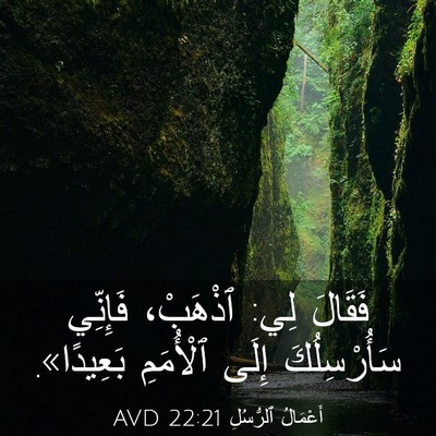 Picture 03 - أَعْمَالُ ٱلرُّسُلِ 22:21 AVD - فَقَالَ لِي: ٱذْهَبْ، - Bible Verse Picture