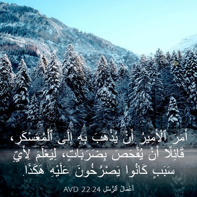 Picture 03 - أَعْمَالُ ٱلرُّسُلِ 22:24 AVD - أَمَرَ ٱلْأَمِيرُ أَنْ - Bible Verse Picture