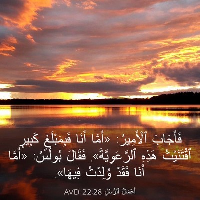 Picture 03 - أَعْمَالُ ٱلرُّسُلِ 22:28 AVD - فَأَجَابَ ٱلْأَمِيرُ: - Bible Verse Picture