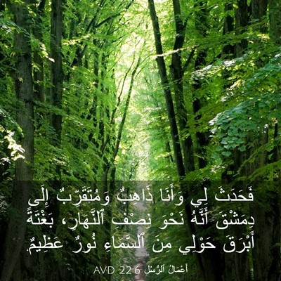 Picture 03 - أَعْمَالُ ٱلرُّسُلِ 22:6 AVD - فَحَدَثَ لِي وَأَنَا - Bible Verse Picture