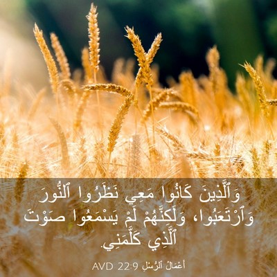 Picture 03 - أَعْمَالُ ٱلرُّسُلِ 22:9 AVD - وَٱلَّذِينَ كَانُوا مَعِي - Bible Verse Picture