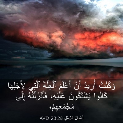 Picture 03 - أَعْمَالُ ٱلرُّسُلِ 23:28 AVD - وَكُنْتُ أُرِيدُ أَنْ - Bible Verse Picture